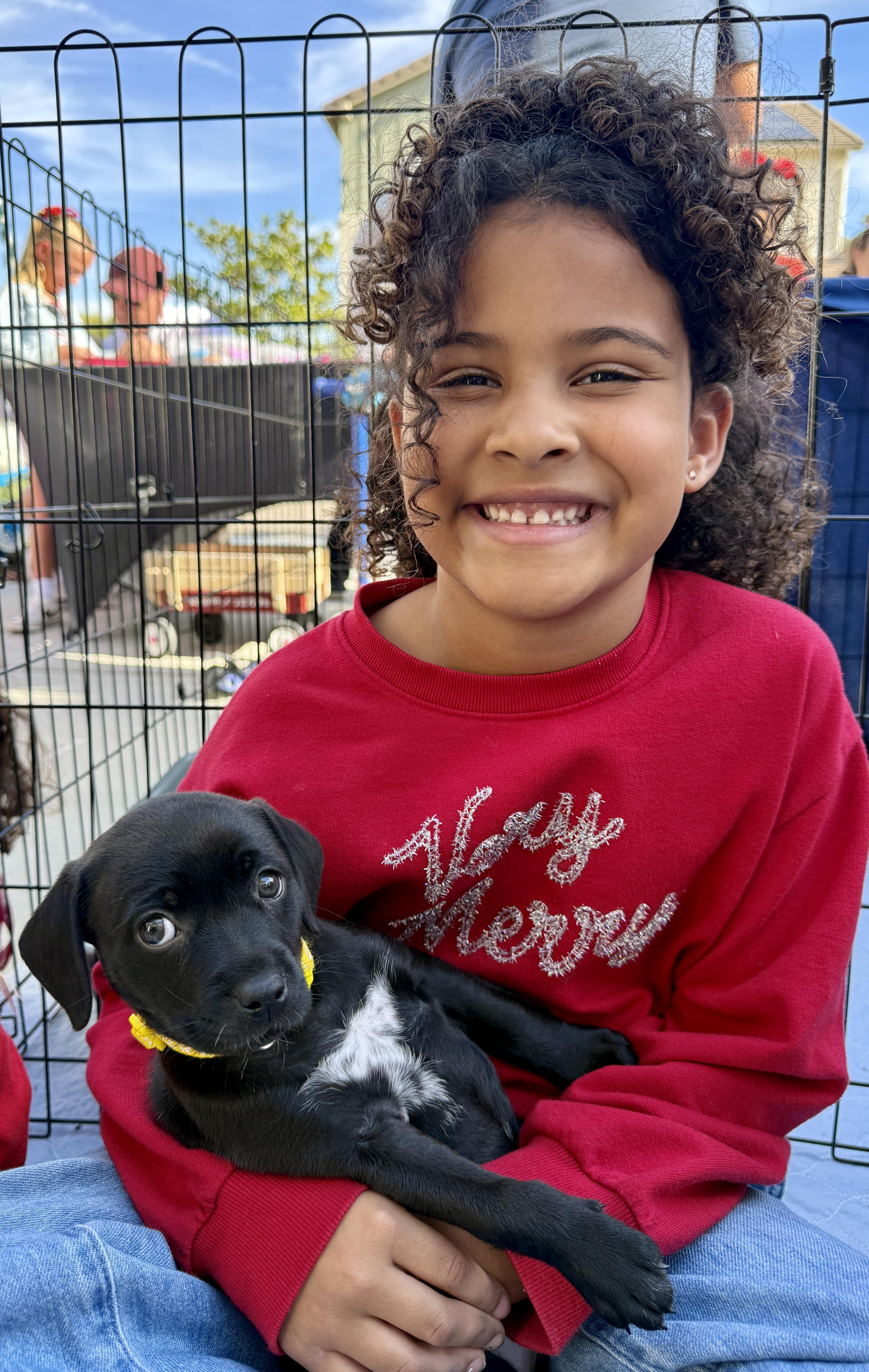 Enlarge Prancer, a ADOPTABLE mixed breed in Santee, CA image 5/6