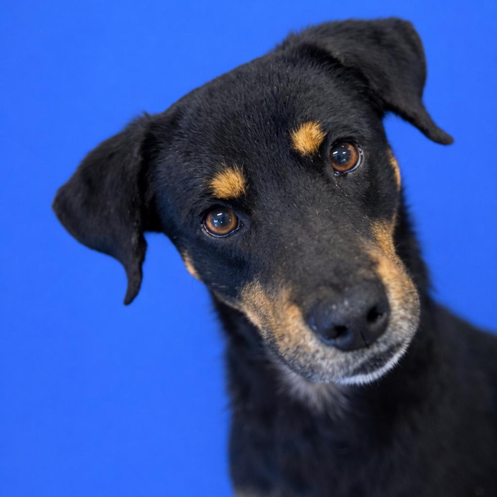 Denver — thumbnail 2