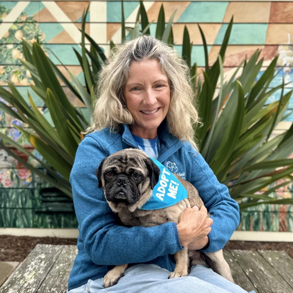 Enlarge Dug, a Adoptable Pug in Pacific Grove, CA image 4/6