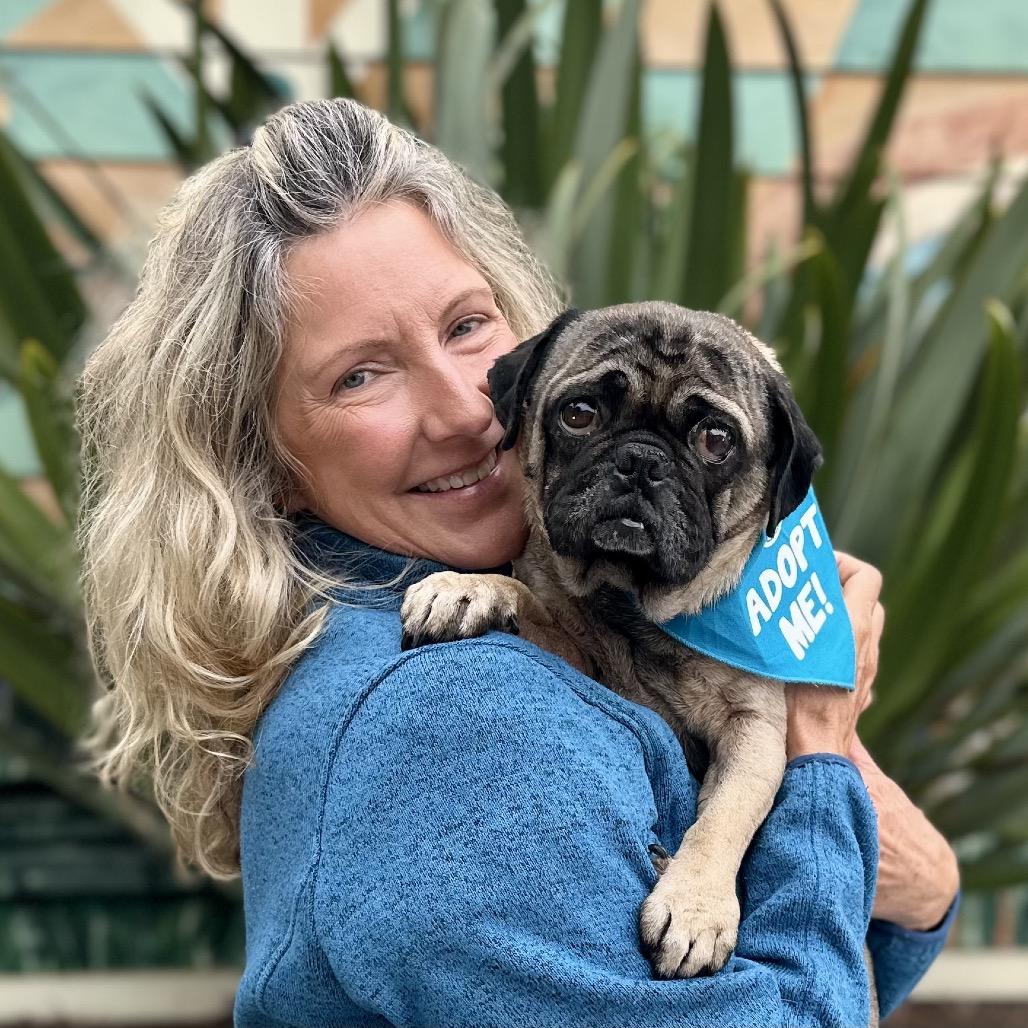 Enlarge Dug, a Adoptable Pug in Pacific Grove, CA image 6/6