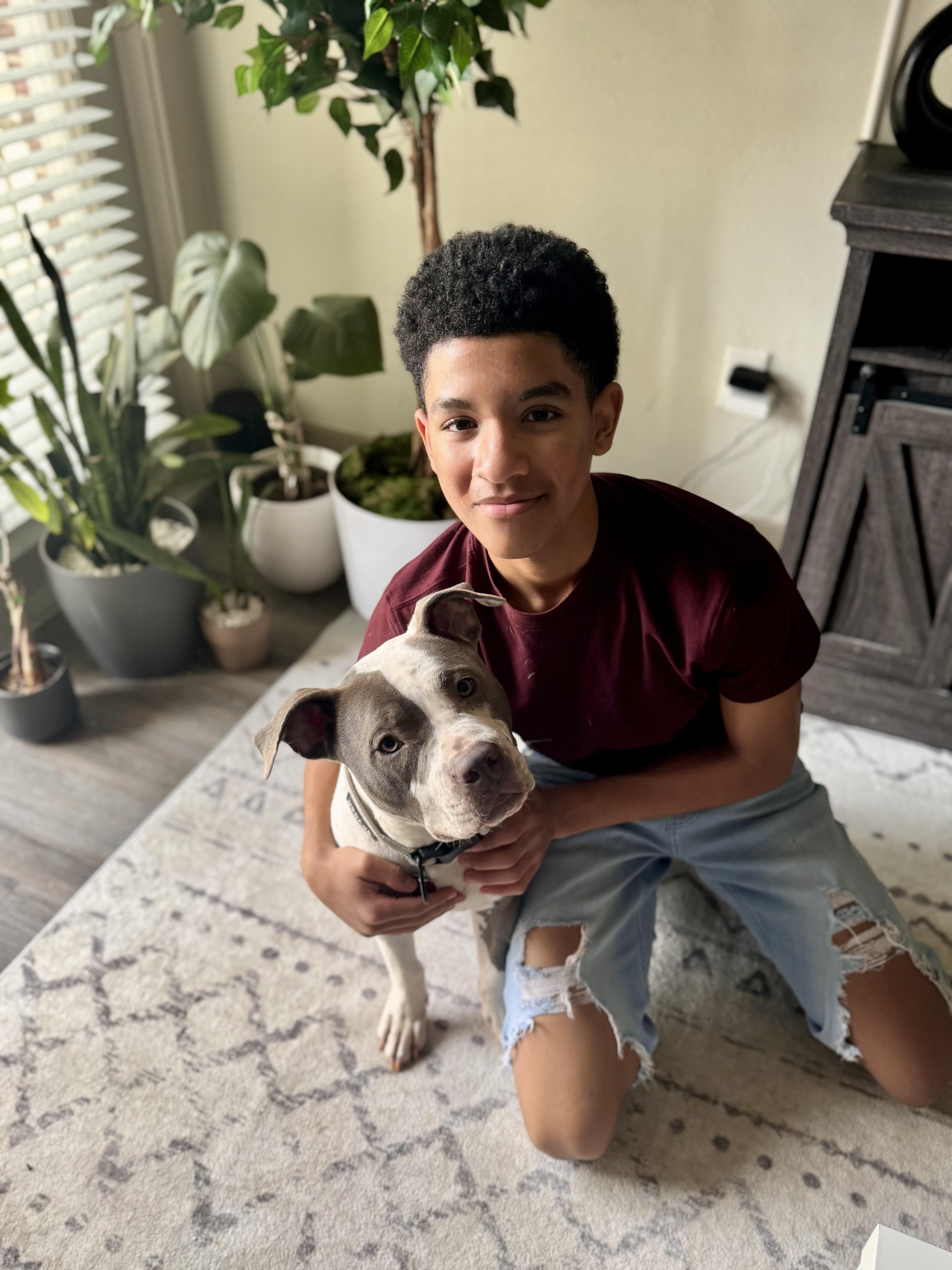 Enlarge Nine, a Adoptable American Staffordshire Terrier in Ennis, TX image 5/5