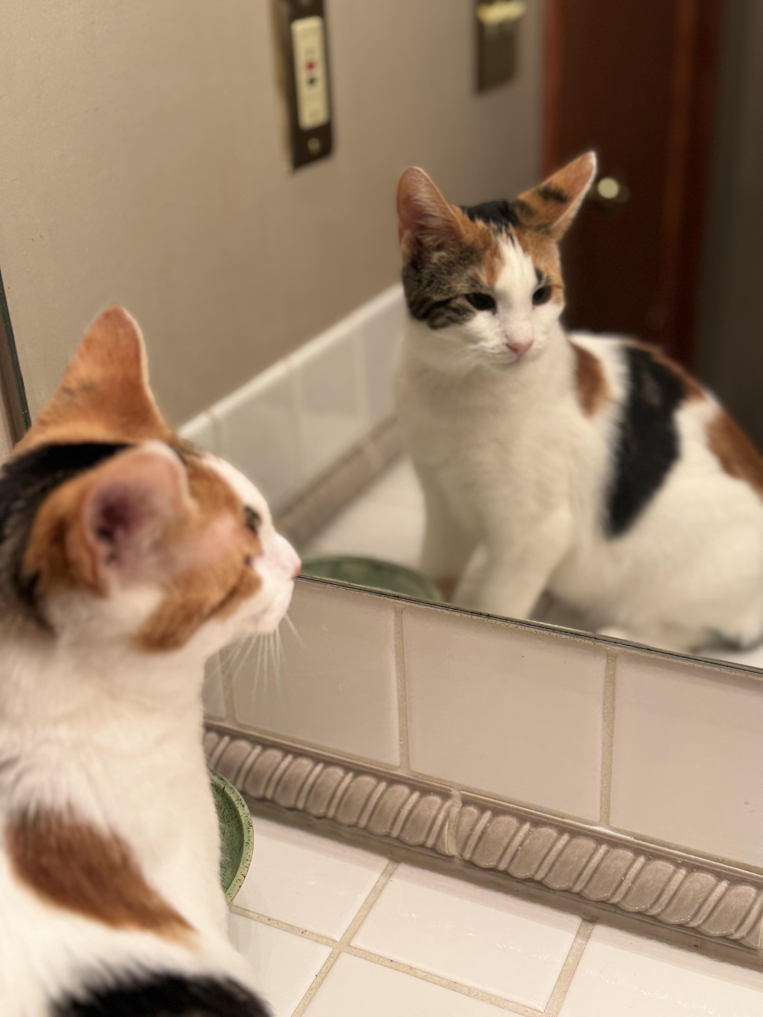 Cassiopeia And Caelum thumbnail 6