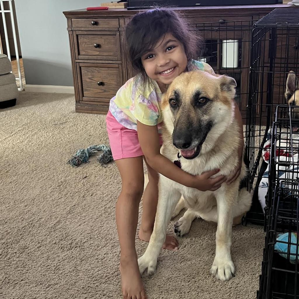 Enlarge Henrietta *Bonded with Maude*, a Adoptable mixed breed in Northbrook, IL image 2/6