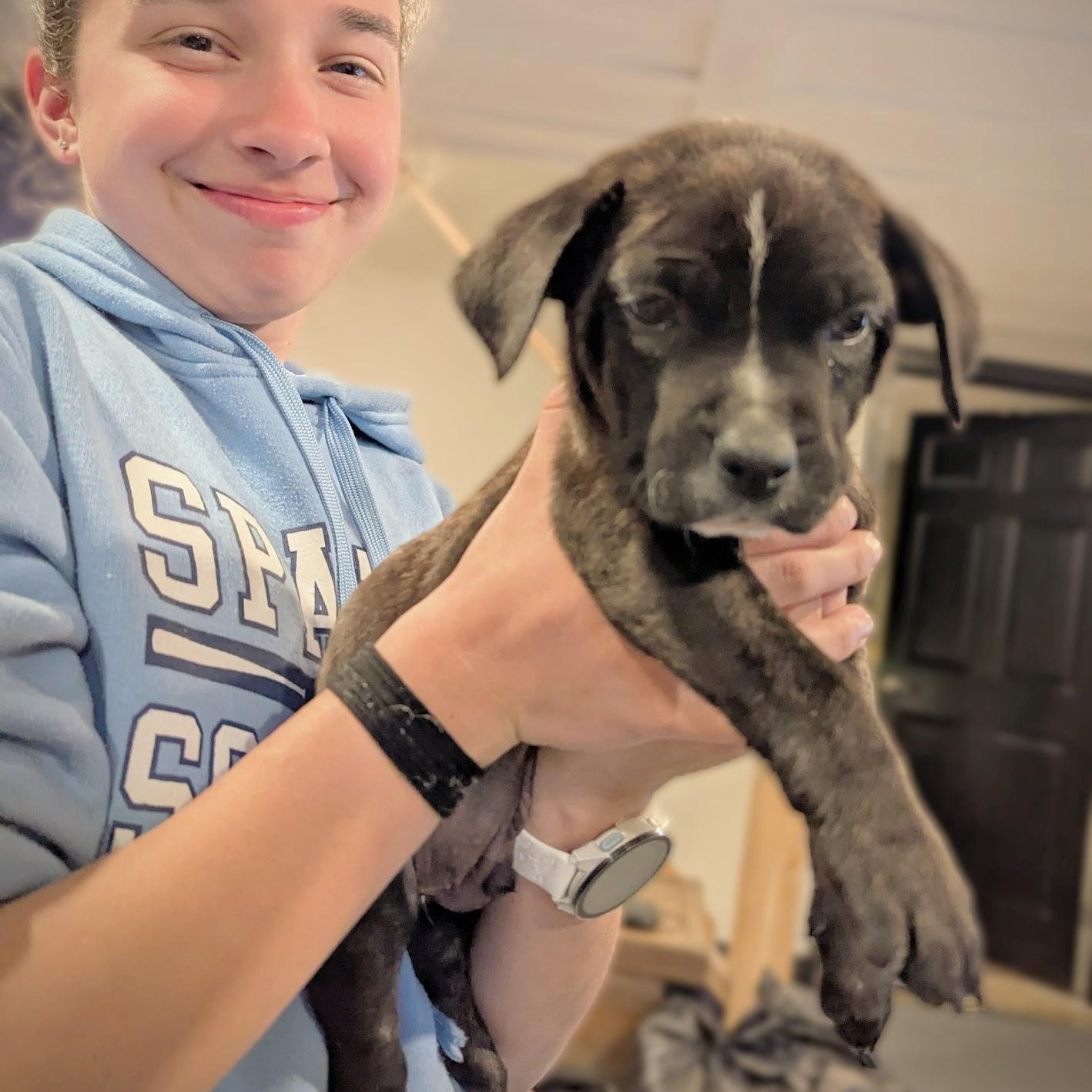 Enlarge Jesse, an adoptable mixed breed in Sparta, NJ image 2/3