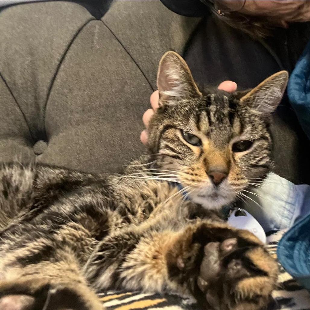 Bruno — thumbnail 4