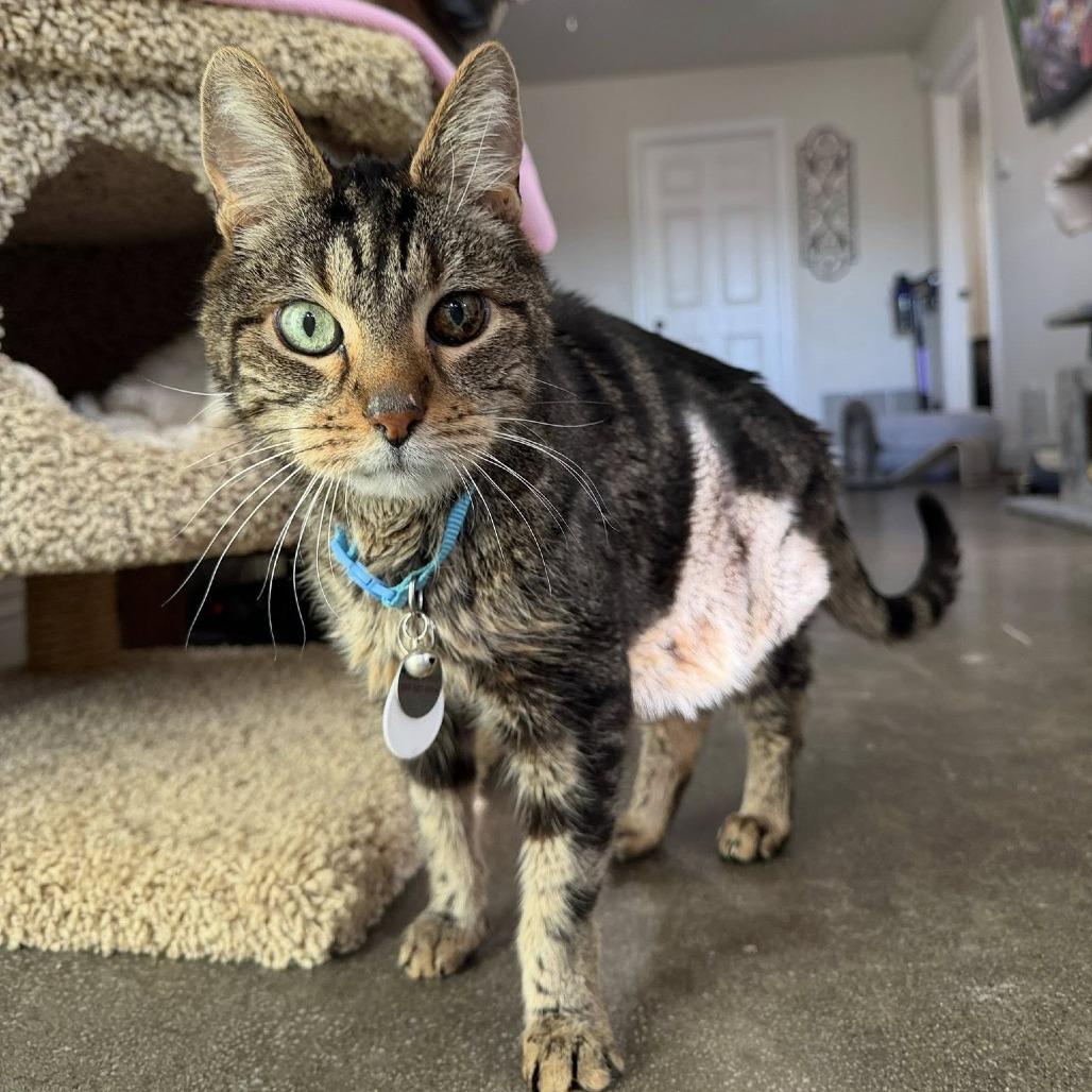 Bruno — thumbnail 6