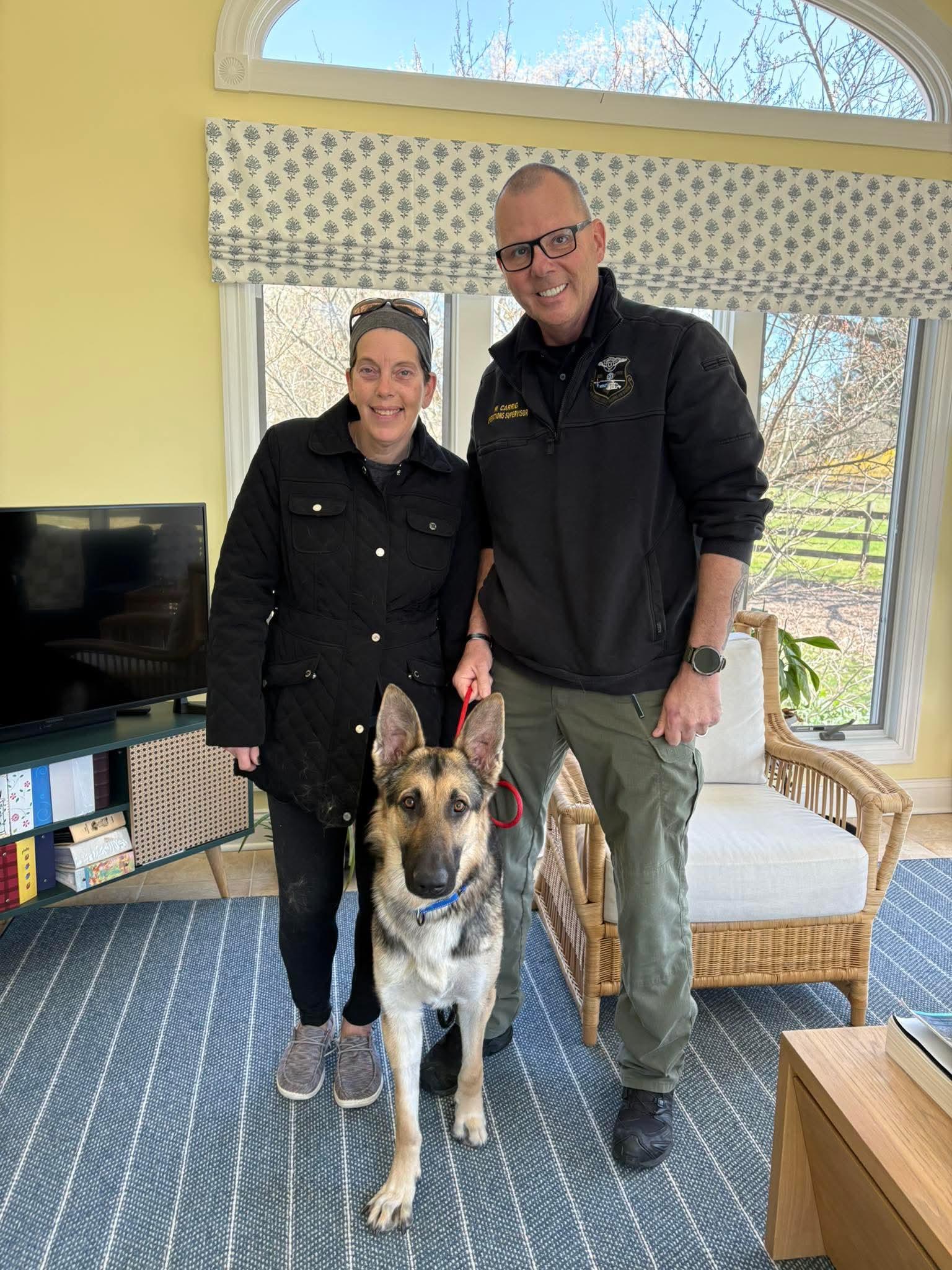 Enlarge Ruger GSD TX, a Adopted German Shepherd Dog in Boonton, NJ image 2/3