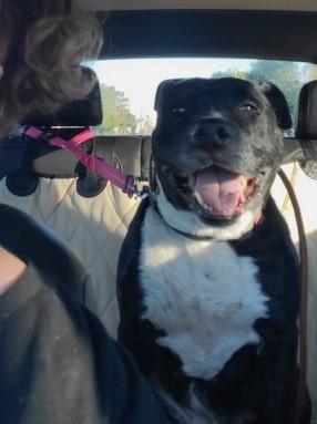 Mia - Loving, Silly and We Will Pay All Of Her Expenses