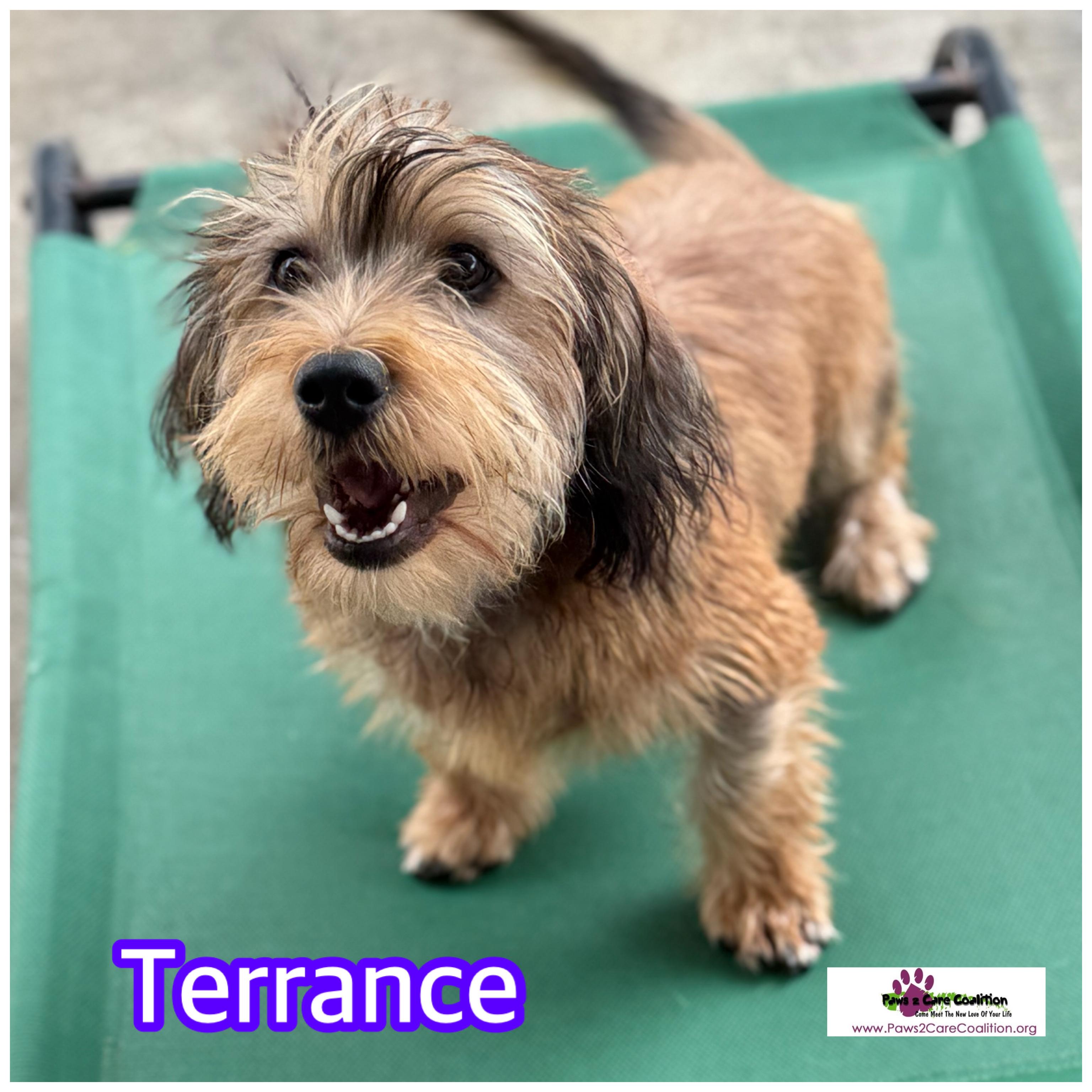 Terrance thumbnail 2