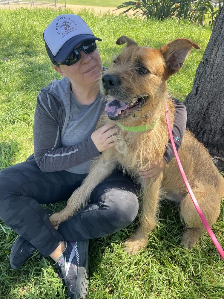 Prickly Pete, a Adoptable mixed breed in San Diego, CA image 5/6