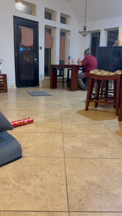 Enlarge Socks, a Adoptable mixed breed in Yonkers, NY video 5/6