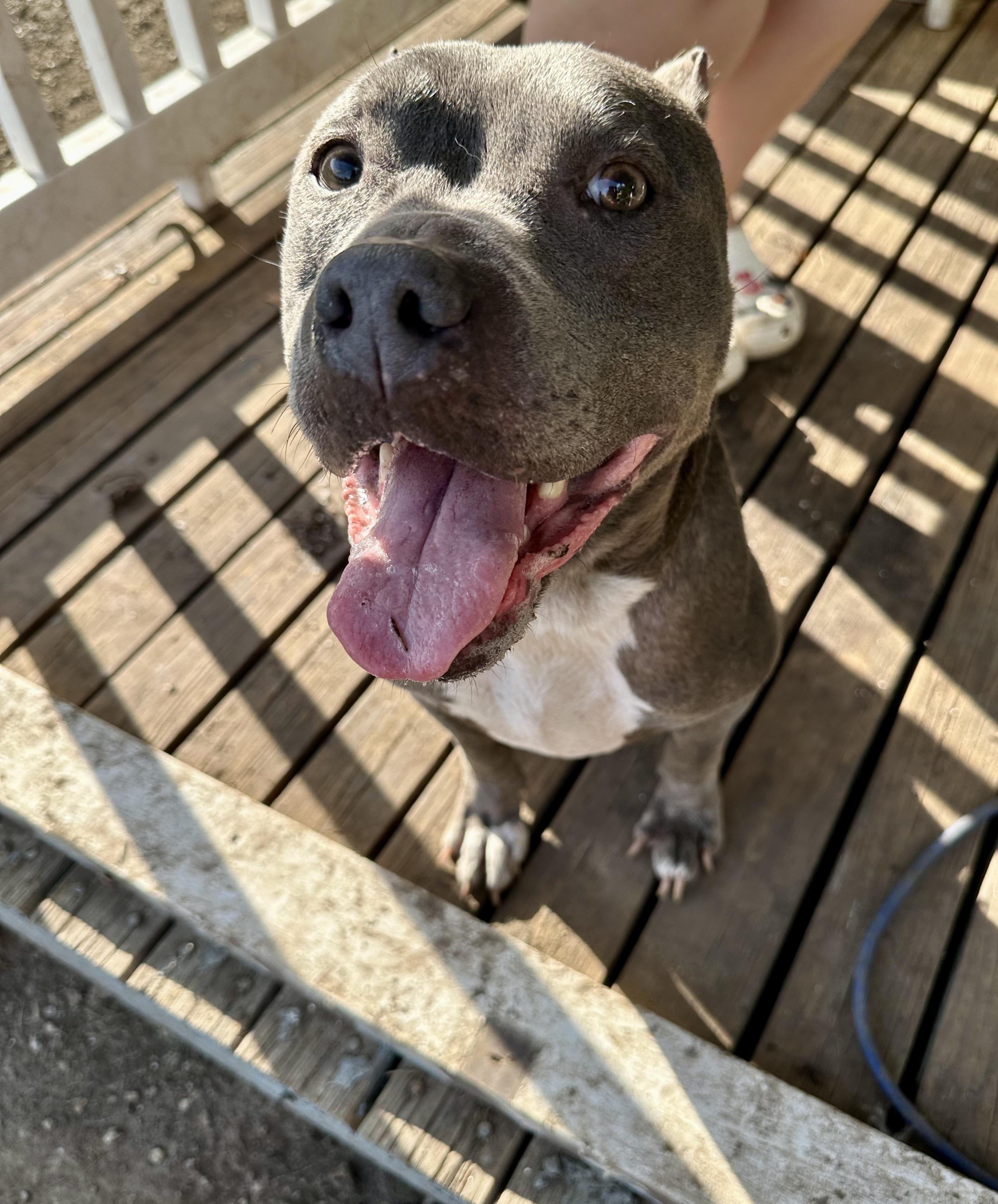 Adira (SC) This is rescue