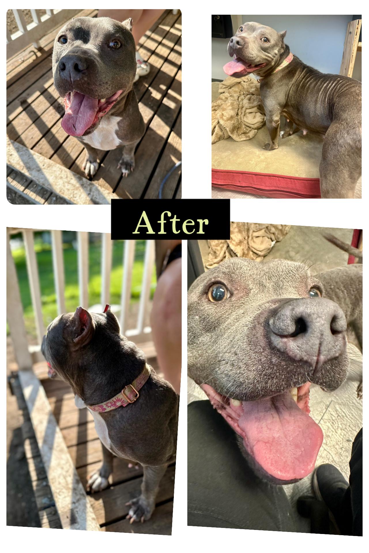 Adira (SC) This is rescue