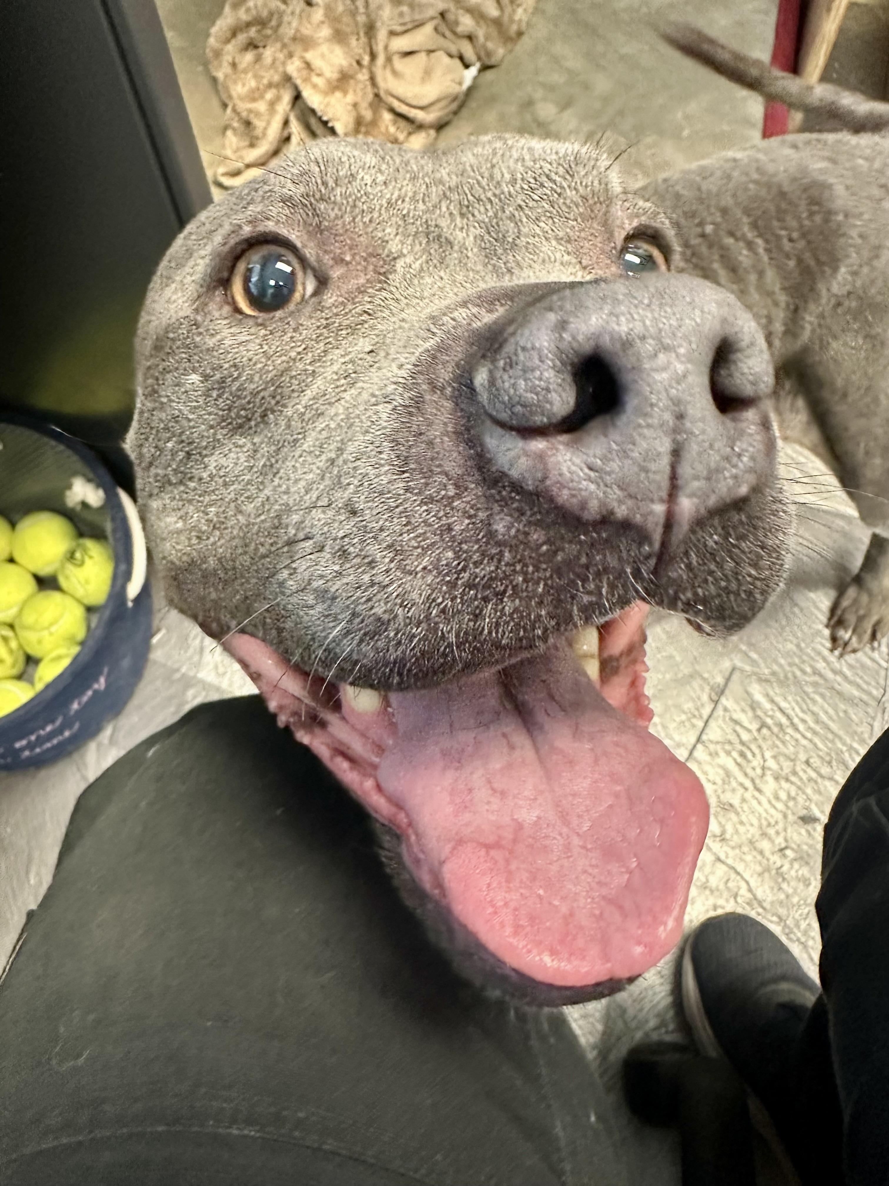 Adira (SC) This is rescue