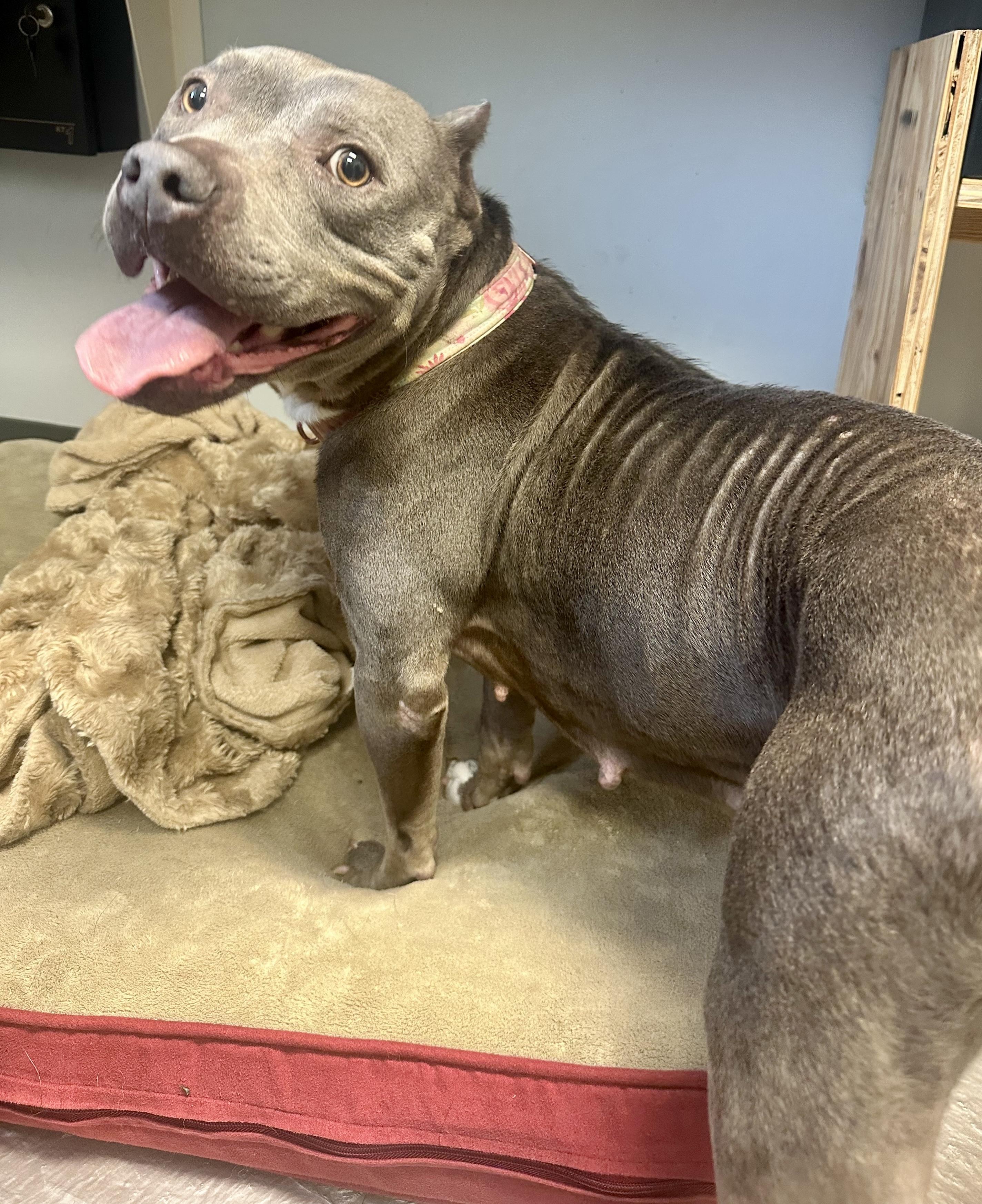 Adira (SC) This is rescue