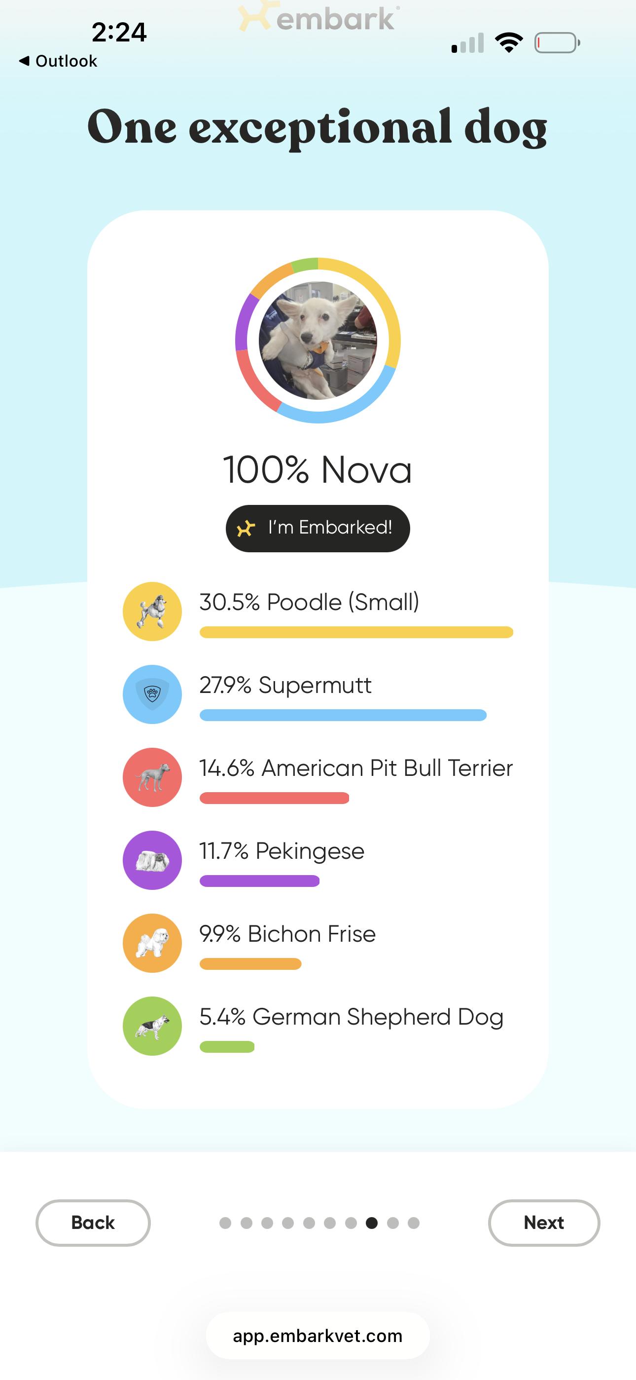 Enlarge Nova, a Adoptable mixed breed in Oakland, CA image 6/6