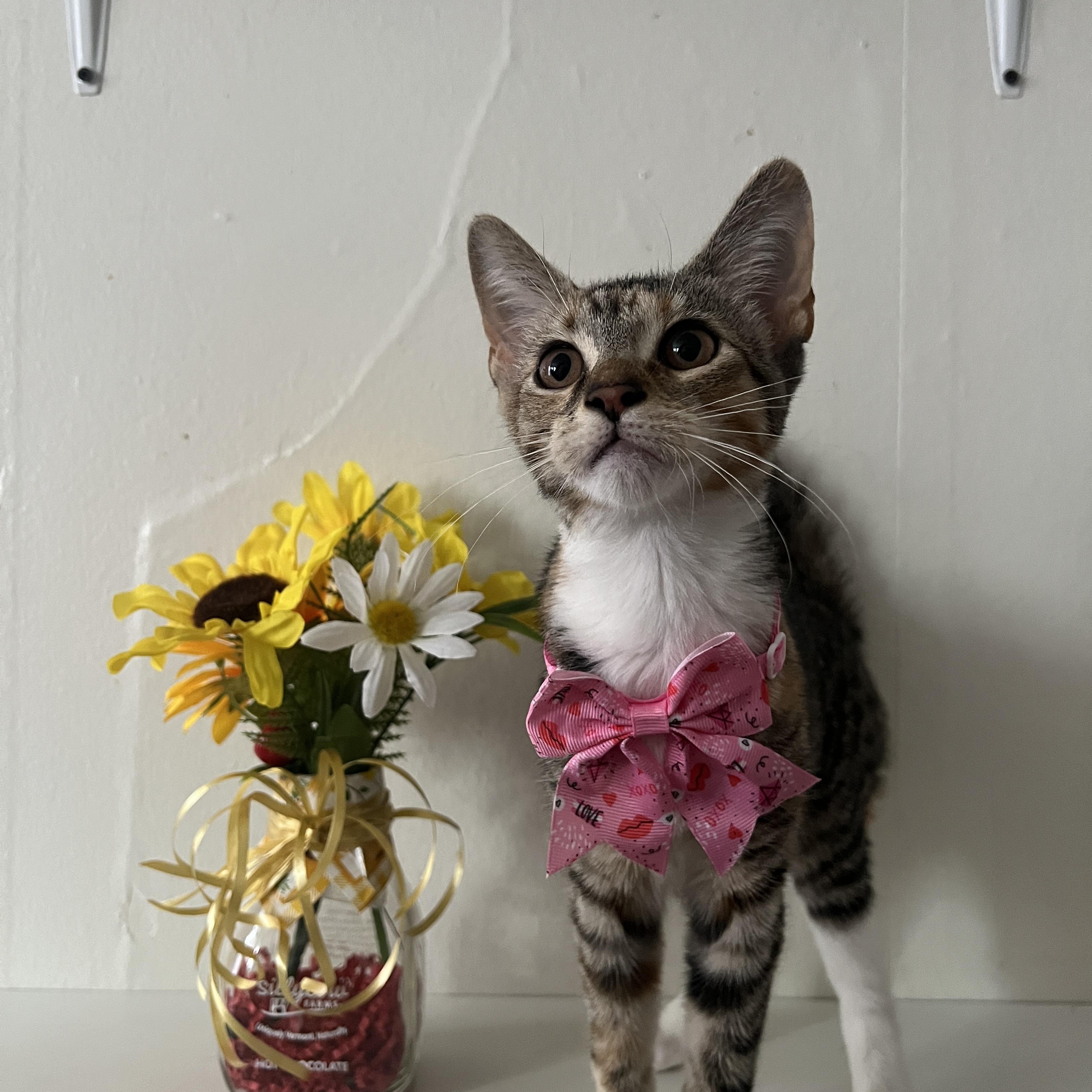 Caramel