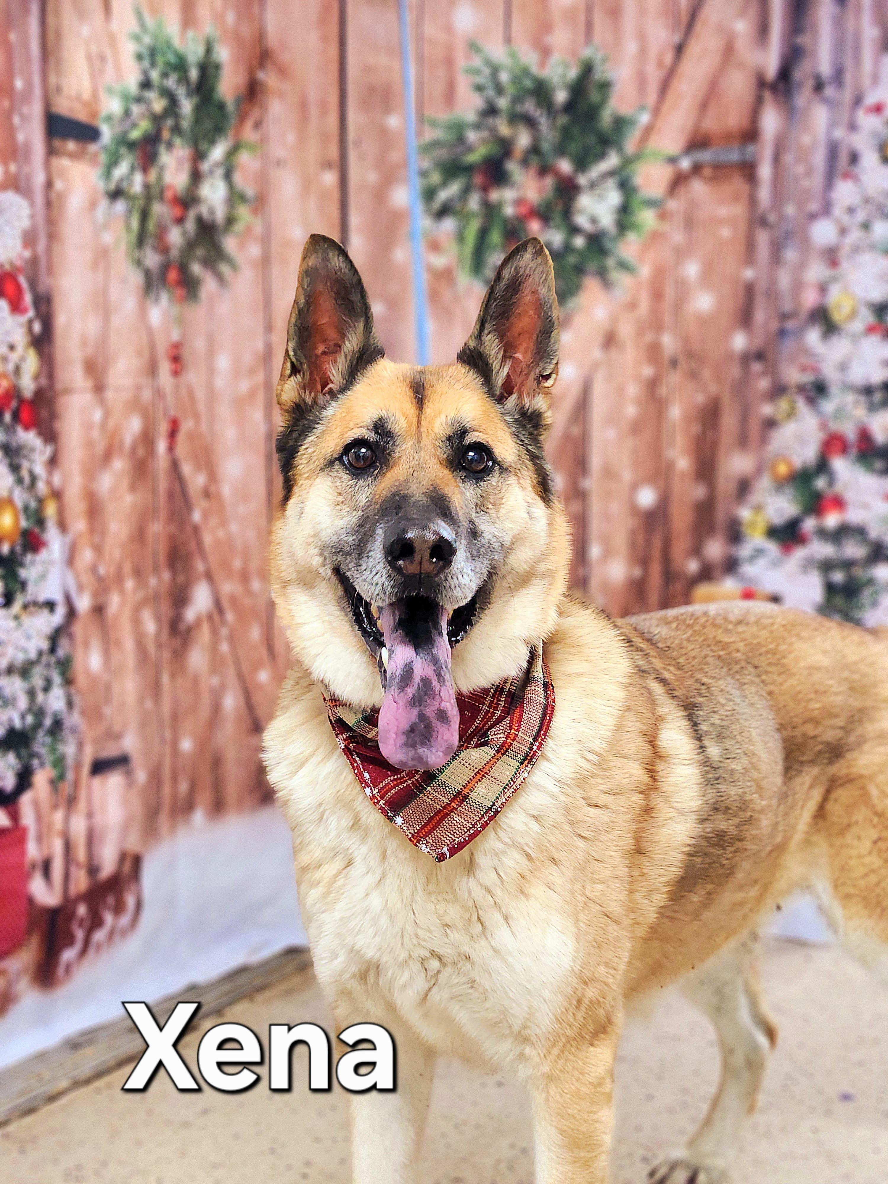 Xena photo 2