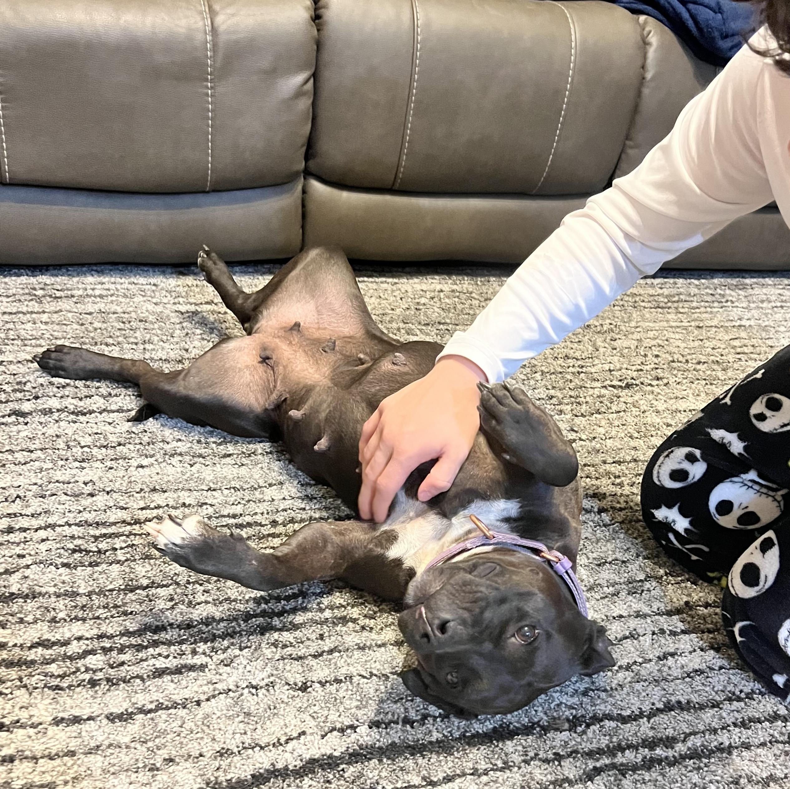 Megan — thumbnail 5