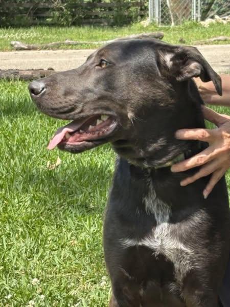 Spencer — thumbnail 3