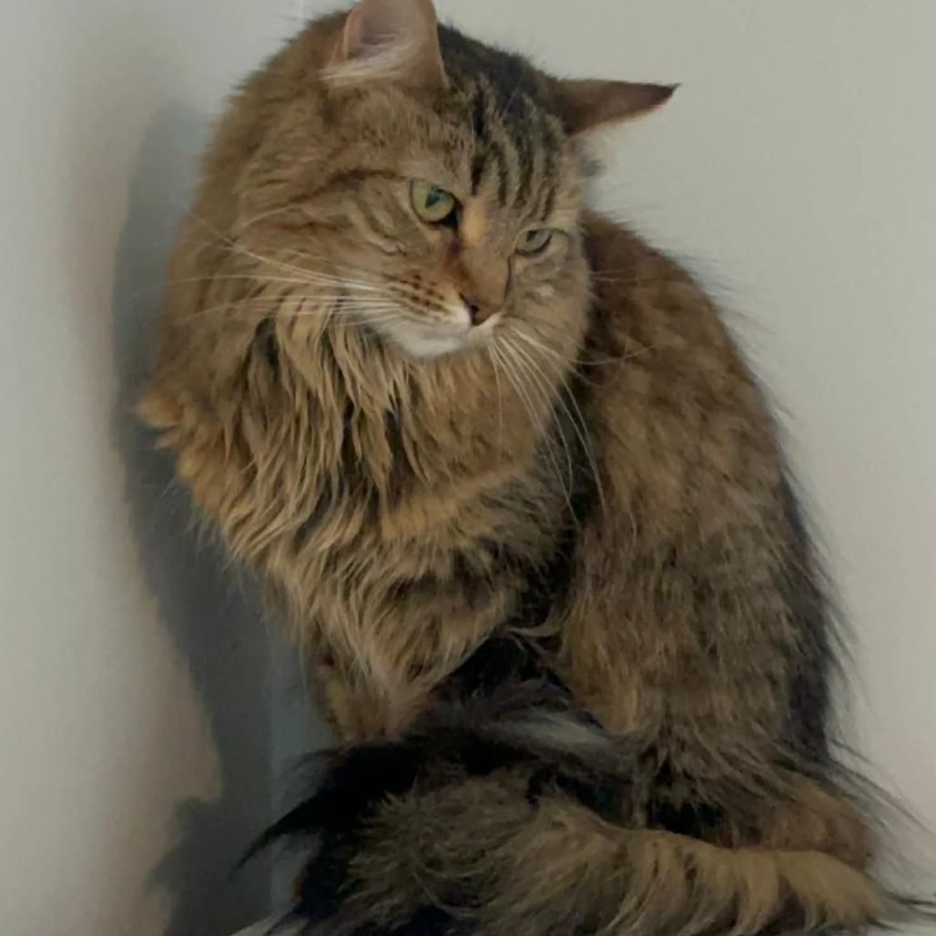 Dinah Wilde — thumbnail 2