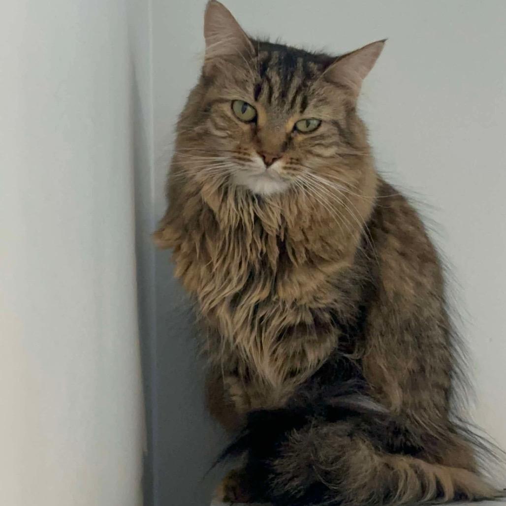 Dinah Wilde — thumbnail 3