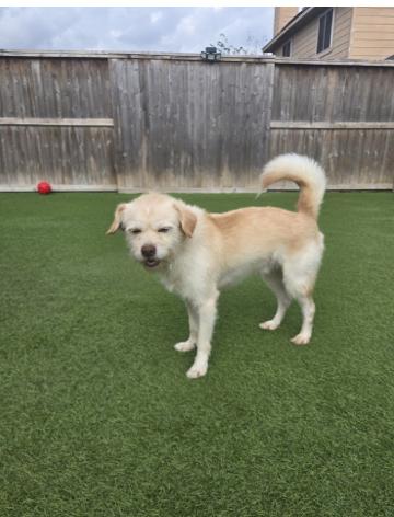 Zip : The sweet shadow you need — thumbnail 1