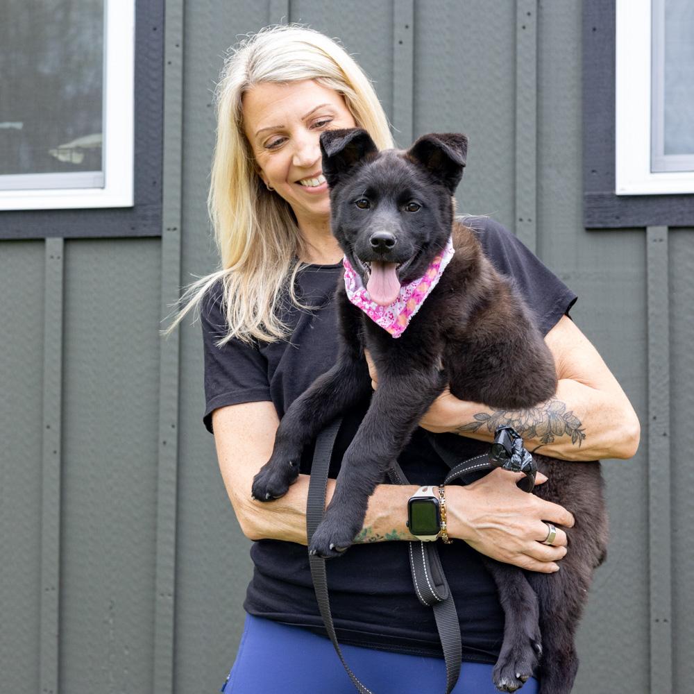 Enlarge Parsley  (Female)   , a Adoptable mixed breed in West Grove, PA image 3/6