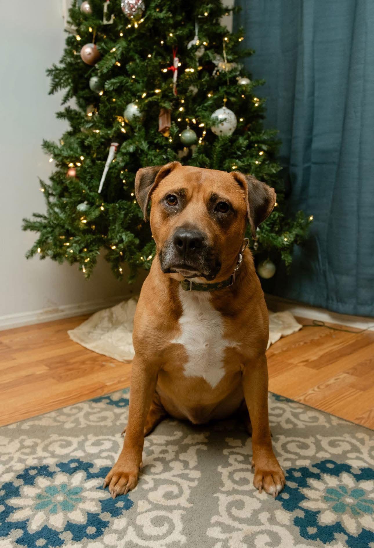 Wyatt Derp thumbnail 2