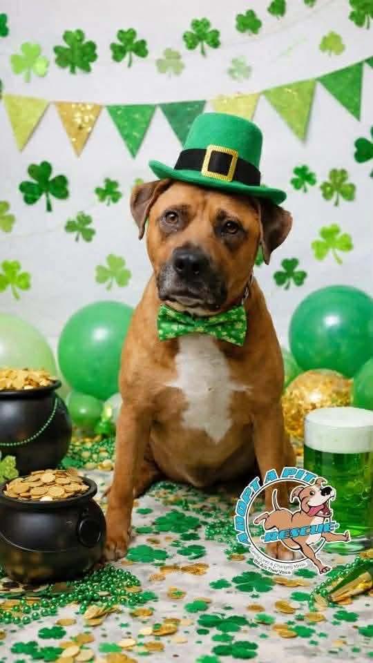 Wyatt Derp — thumbnail 2