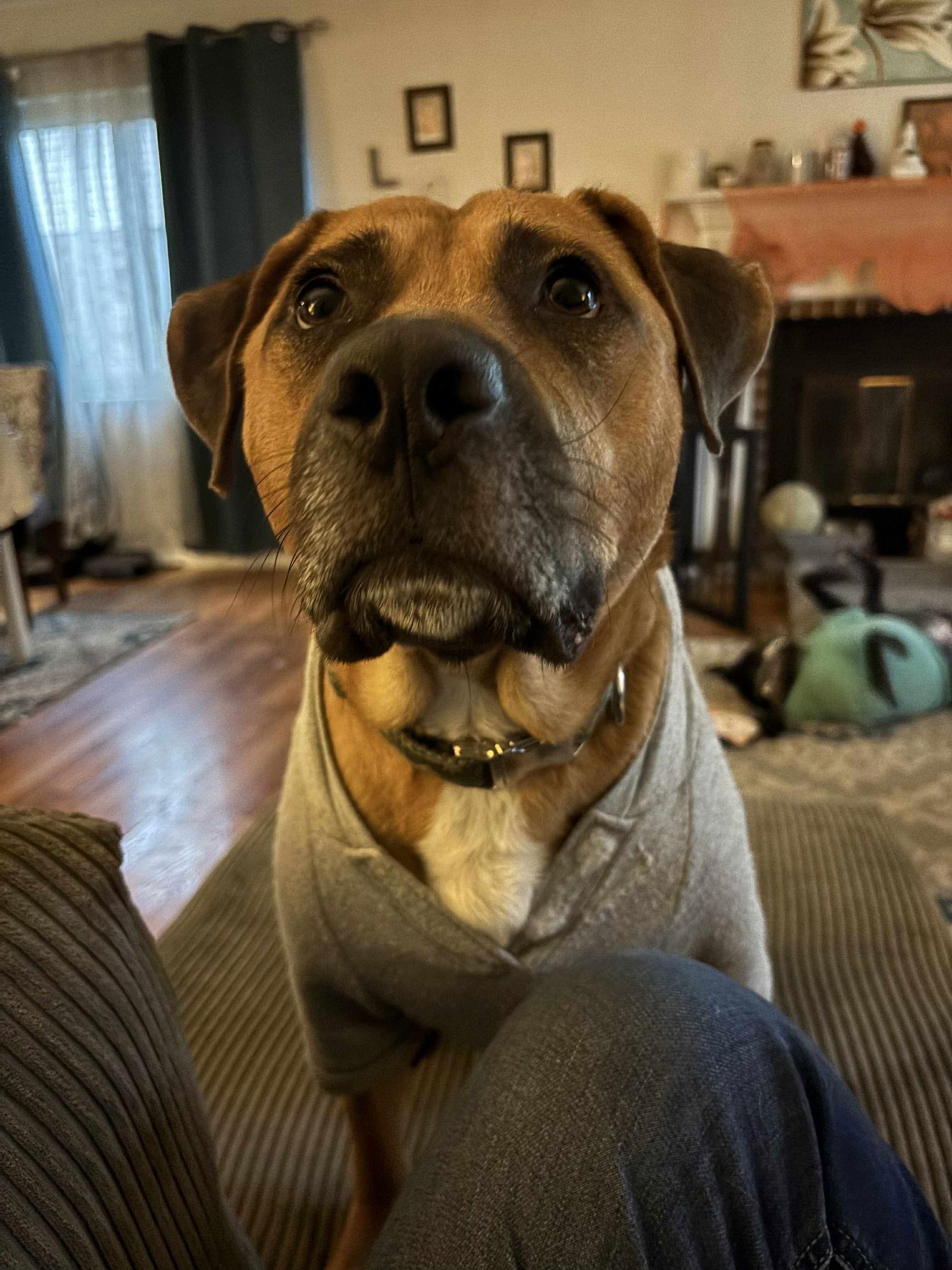 Wyatt Derp thumbnail 4