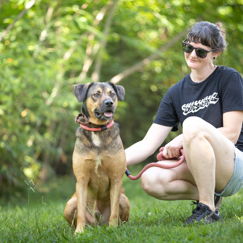 Enlarge Axle, a Adoptable mixed breed in Acworth, GA image 4/6