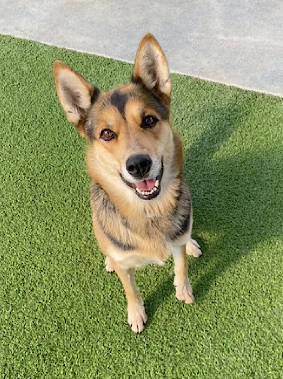 Tori — thumbnail 3