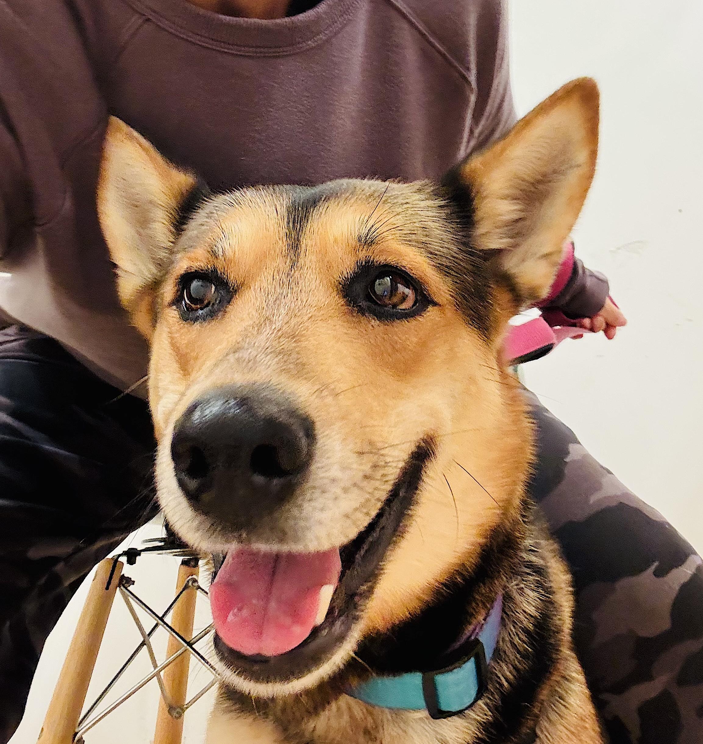 Tori — thumbnail 5