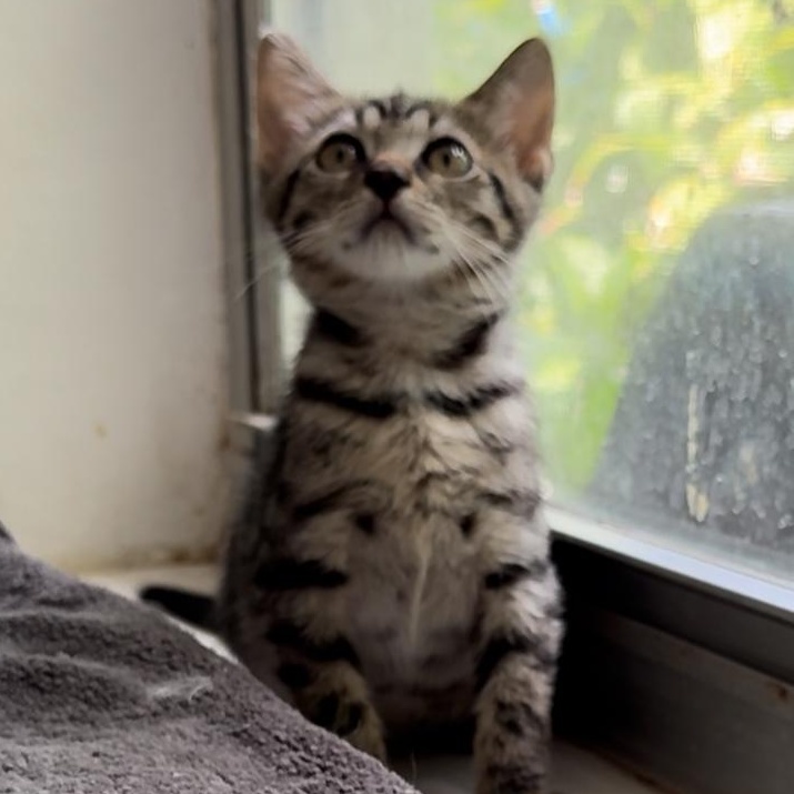 Tammy Lynn — thumbnail 2