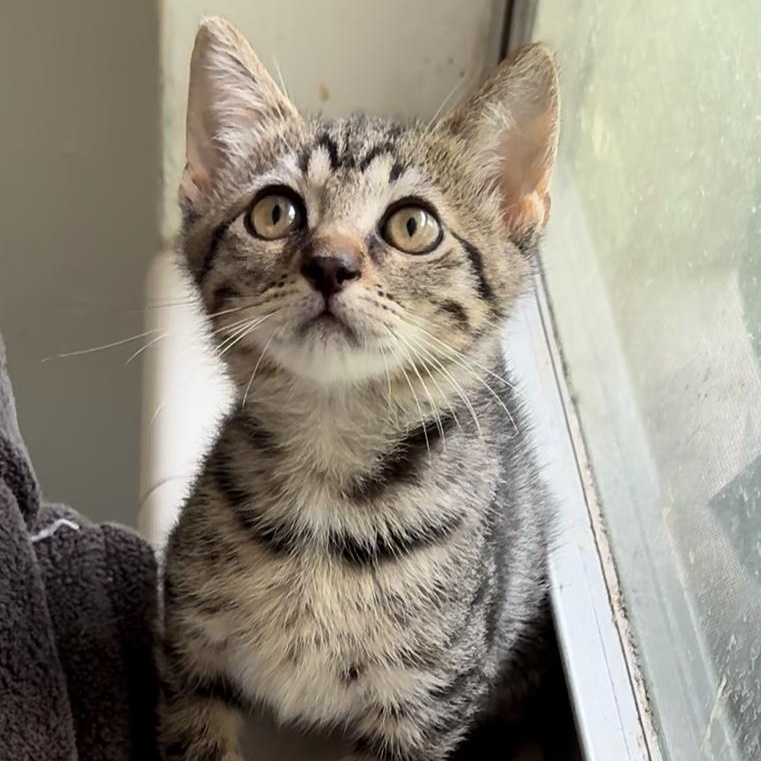 Tammy Lynn — thumbnail 4