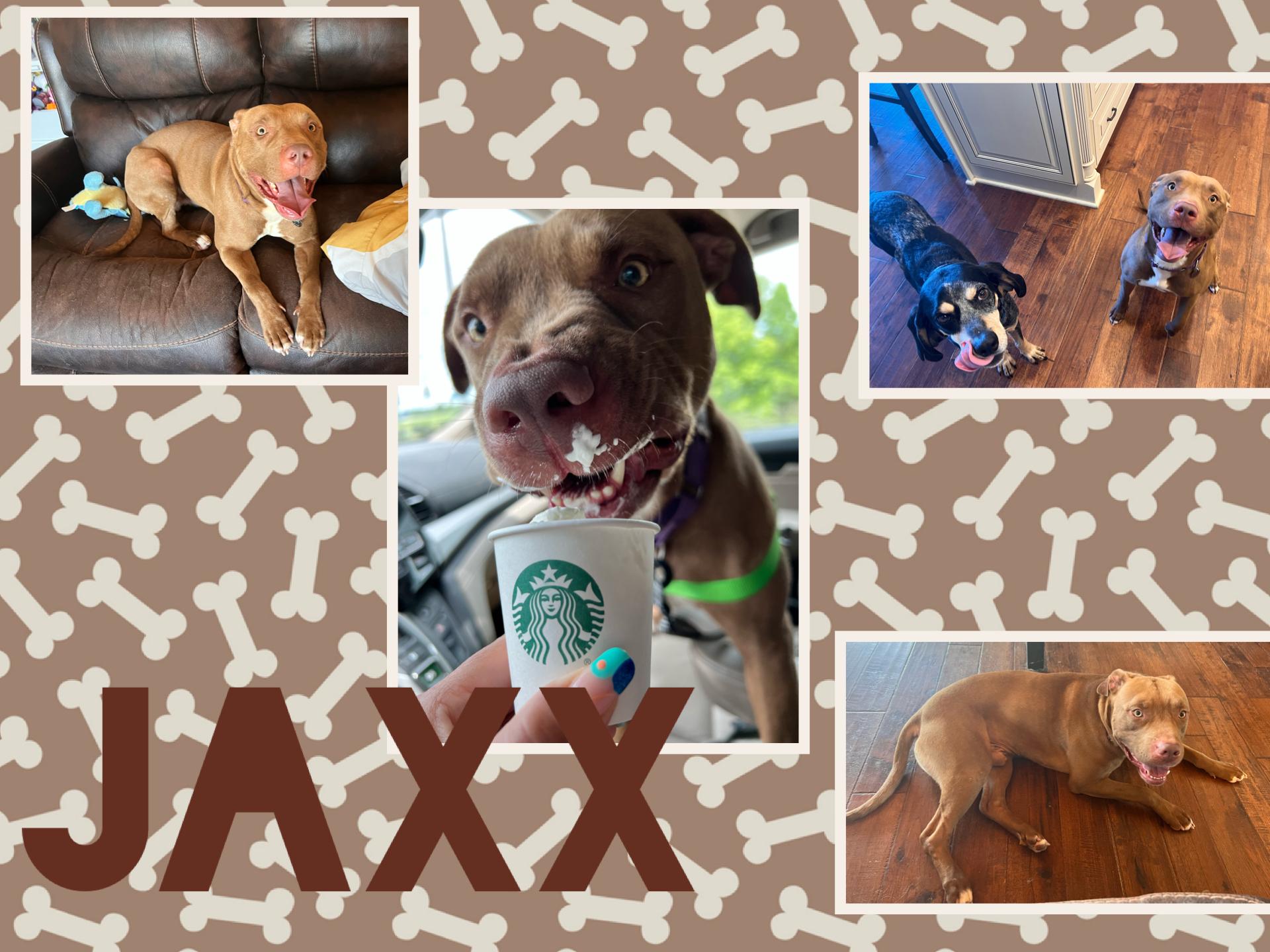 Jaxx