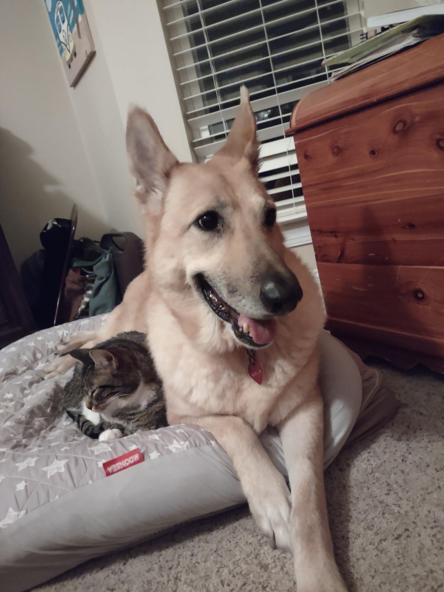 Molly — thumbnail 6