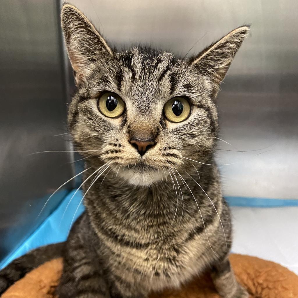 Mitchu — thumbnail 2