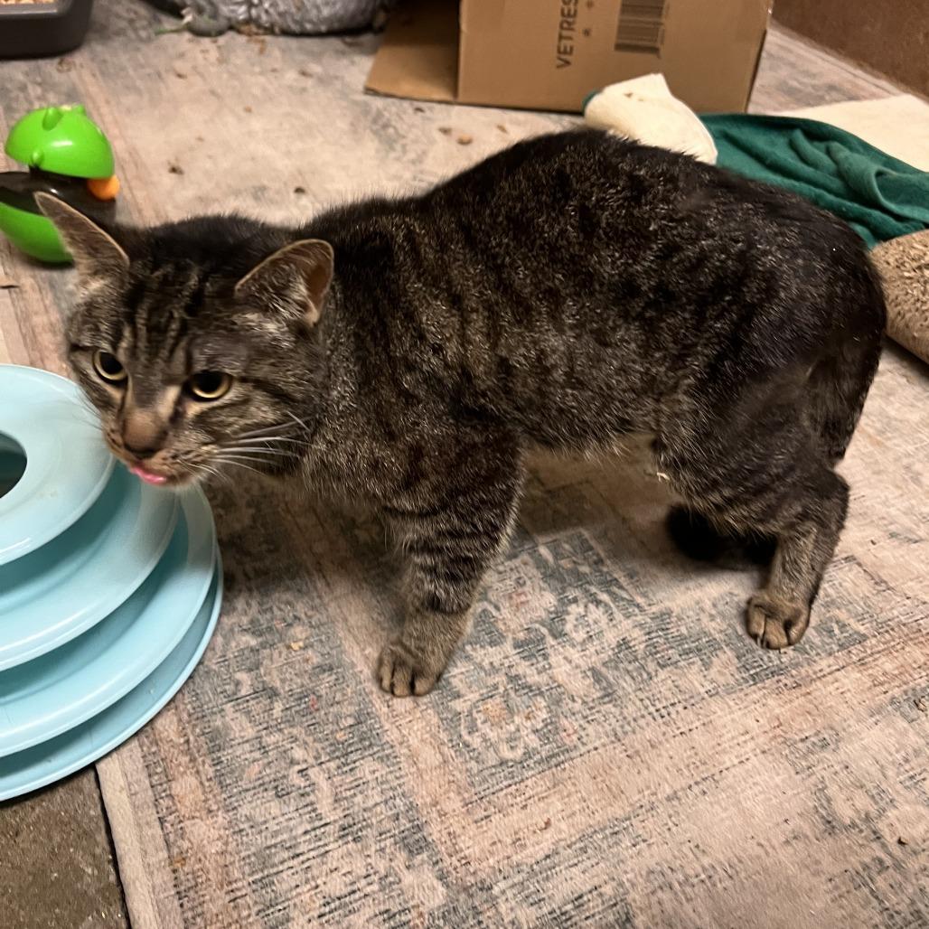 Mitchu — thumbnail 5