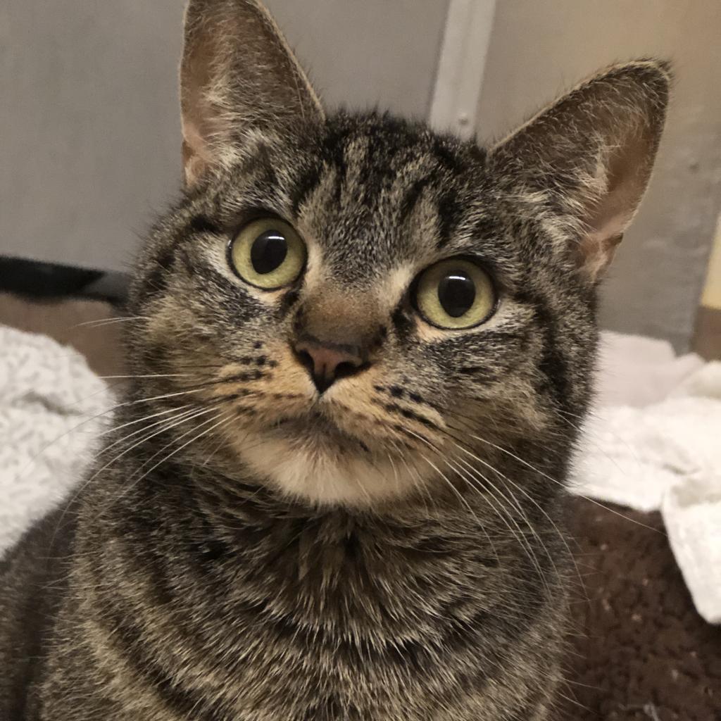 Mitchu — thumbnail 6