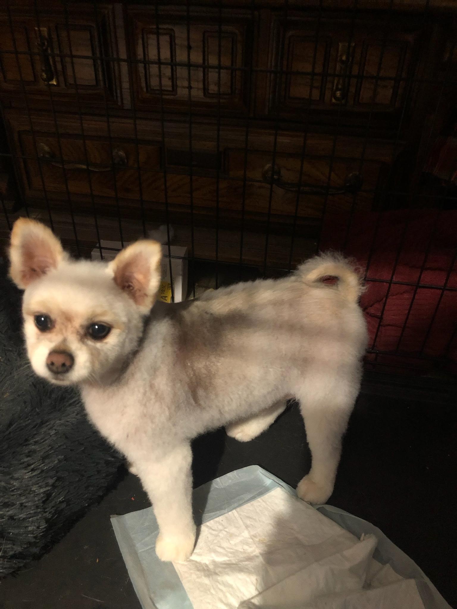 Jax photo