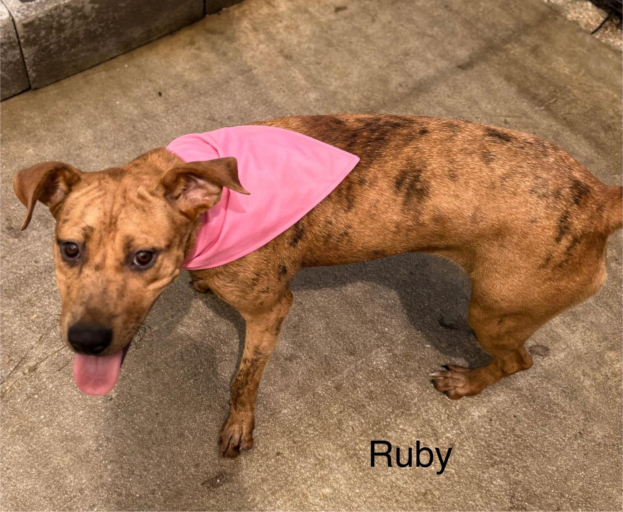 Ruby