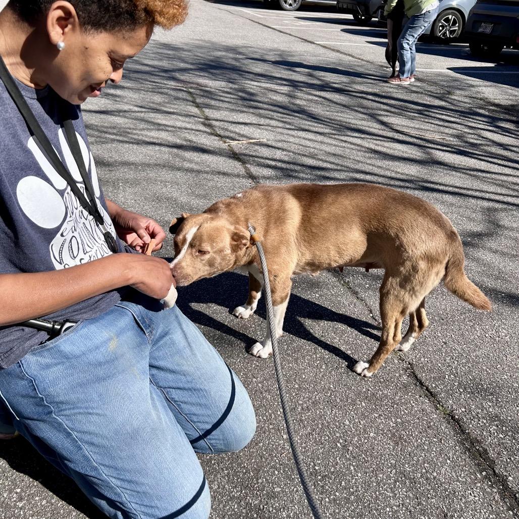 Rousey 4753 — thumbnail 3