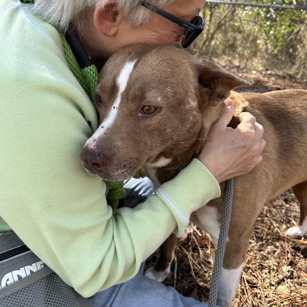 Rousey 4753 — thumbnail 4