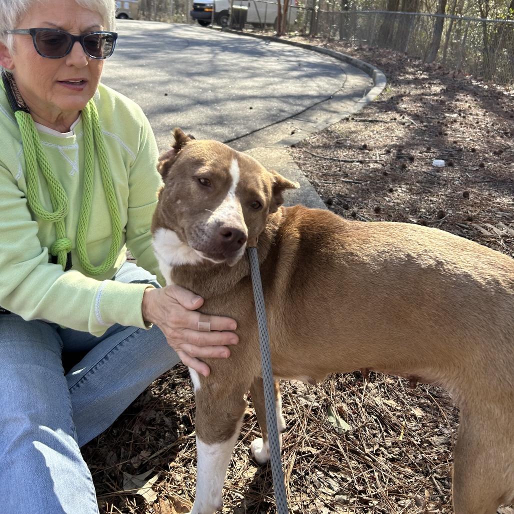 Rousey 4753 — thumbnail 5