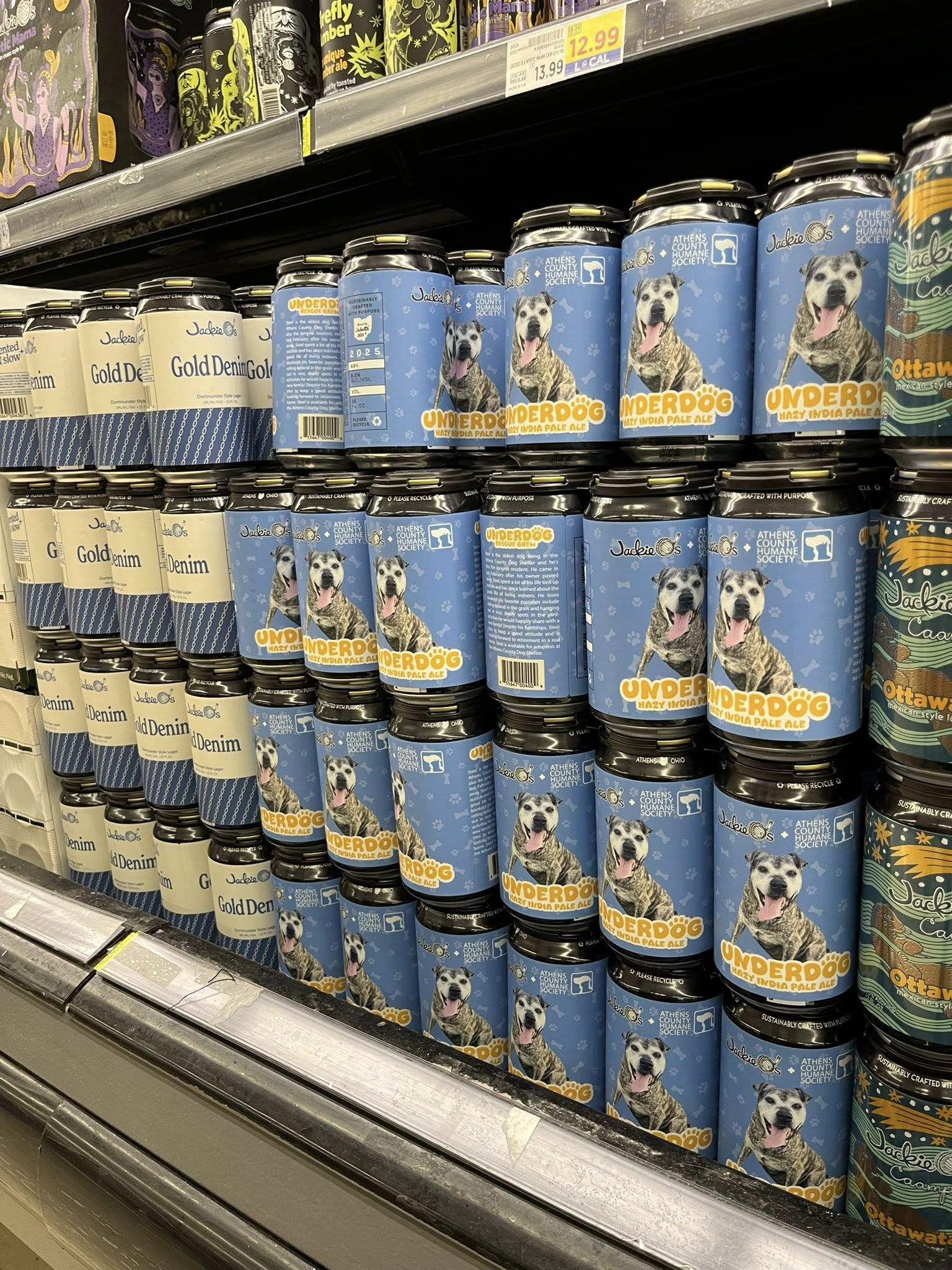 Steel, Adoptable, Senior Male Terrier.