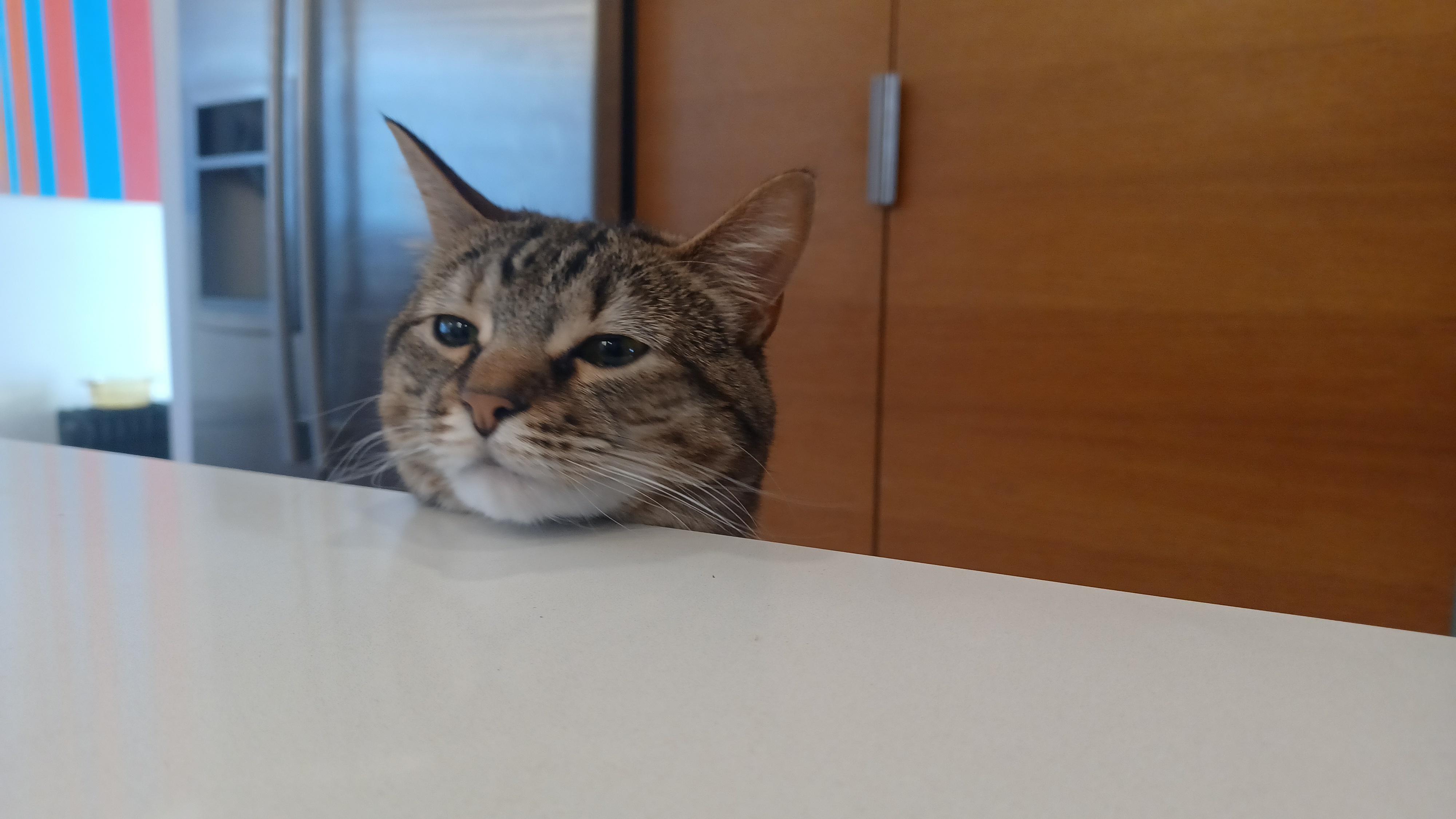 Tina