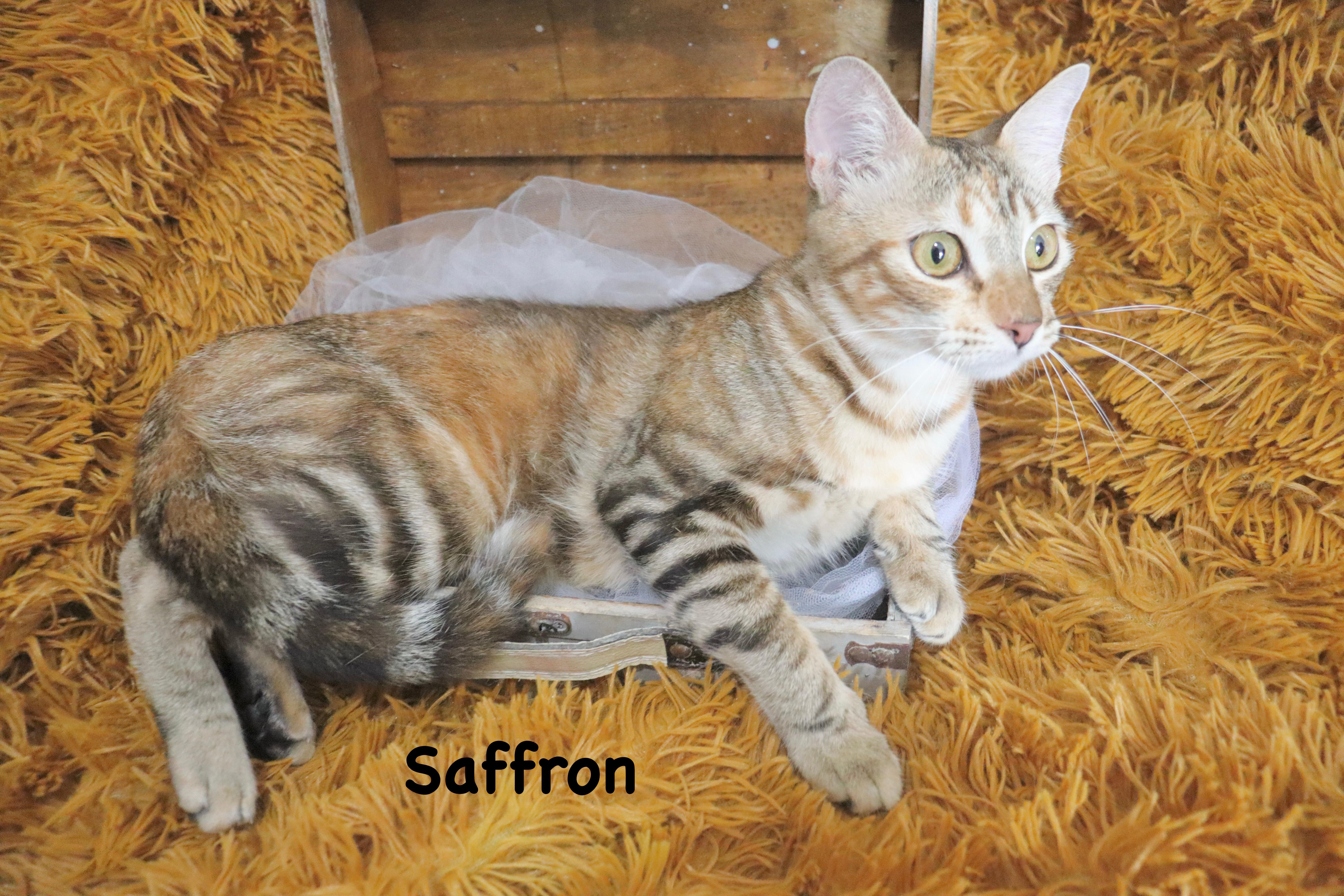 Saffron