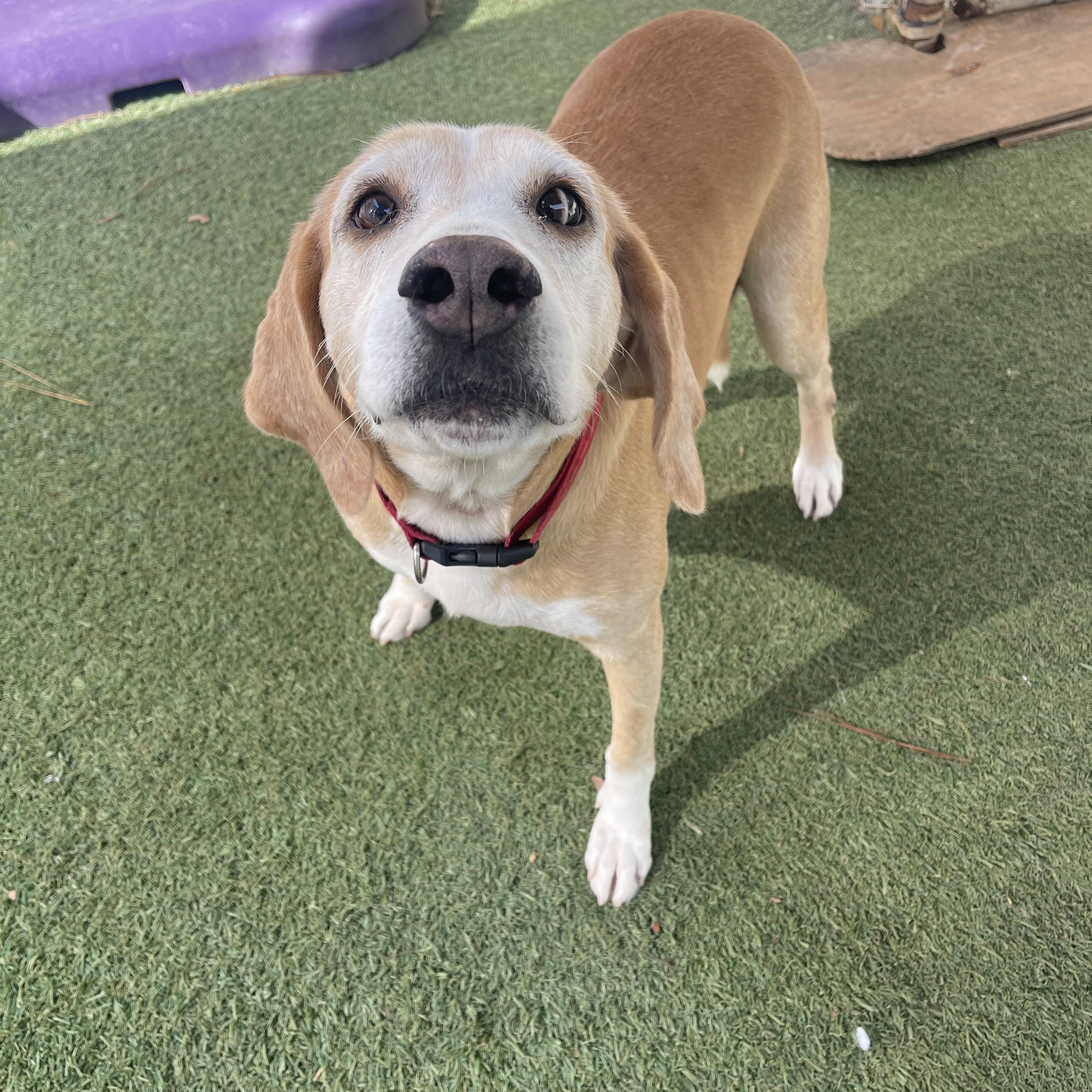 June Bug thumbnail 5